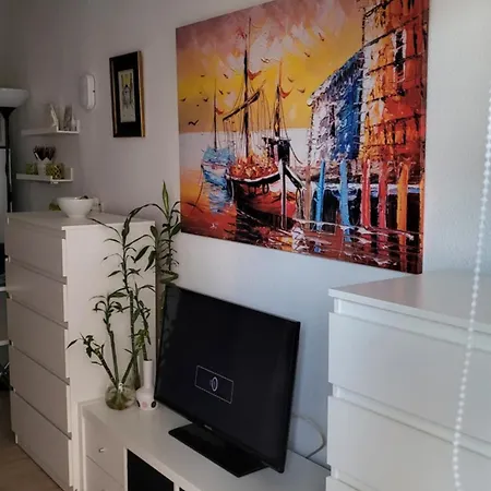 Minerva 242 * 베날마데나코스타